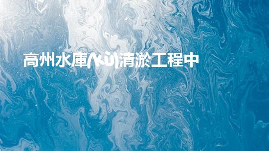 高州水庫(kù)清淤工程中標(biāo)公示清淤工程的秘密：如何高效處理水體污染征詢題？